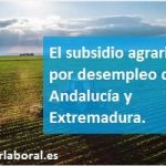 El subsidio agrario por desempleo de Andalucía y Extremadura