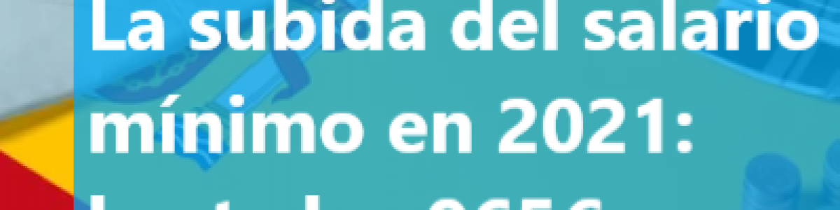 salario minimo subida 2021 iberlaboral